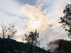 -云溪植物园