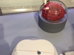 -ROSEONLY诺誓(广州K11店)