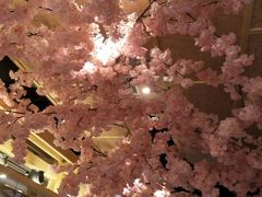 -九田家黑牛烤肉料理(中北镇店)