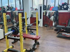 -温鉴良实用咏春拳