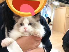 -猫和宫(六道口店)