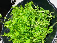 -东椰·海南椰子鸡火锅(朝阳门店)