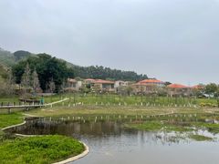 -厦门国家会计学院