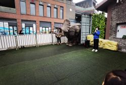 -恐龙探索乐园(磁器口店)