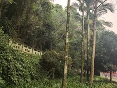 -乐山大佛风景名胜区乌尤寺南门-售票点