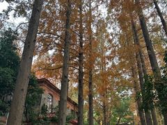 -苏州大学(天赐庄校区)