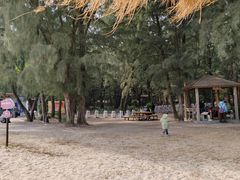 -北海金海湾红树林生态旅游区