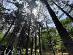 -黑龙江省森林植物园