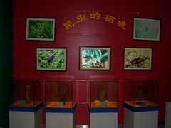 内景-上海昆虫博物馆