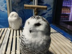 -成都浩海立方海洋公园