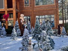 -洛阳白云山景区