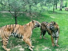 -北京野生动物园