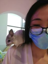 -Moni星球萌宠·小马宝莉·灵蛇·高端高阶全萌宠互动体验俱乐部(红豆国际广场店)