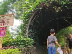 -成都保利公园皇冠假日酒店(熊猫基地店)