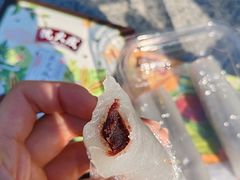 -沈大成(城隍庙店)