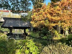 -西溪国家湿地公园