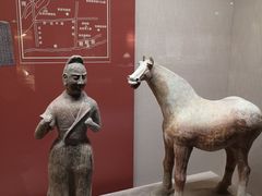 -宁夏博物馆