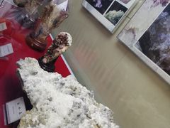 -延庆地质公园博物馆