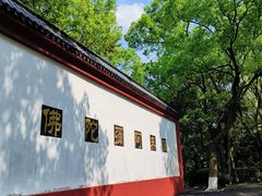 -福清灵石山国家森林公园