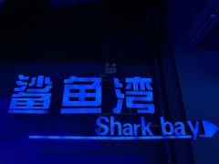 -泉城欧乐堡海洋极地世界