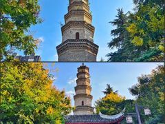 -祥源·阜阳生态乐园