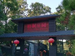 -梧桐庄园