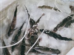 -百里鲜(羚羊峡古栈道森林公园店)