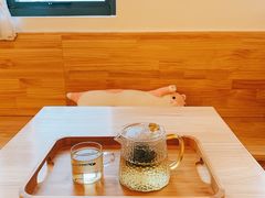 -猫腻·猫咖·撸猫馆(星光大道店)