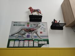 -瑞派·爱瑞可动物医院·口腔专科(广华新城分院)
