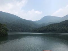 -清溪森林公园