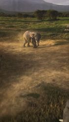 -翱翔飞越地平线