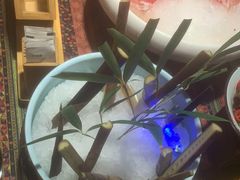 -慢丽江·云南野生菌土鸡锅(付家庄店)