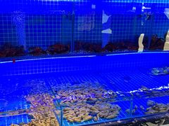 -義聚德·清真铜锅涮羊肉·烧烤(河东店)