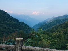 -牛背梁国家森林公园