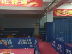 -大凤凰乒乓球馆