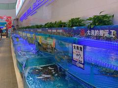 -驻海渔市(置信店)