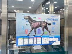 -万博宠物医院·手术·诊疗(未央凤城五路店)