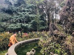 -宝光寺
