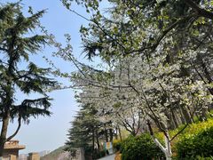 -北岭山森林公园