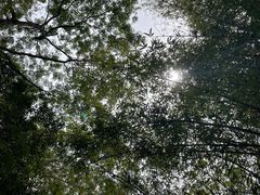 -洛带古镇