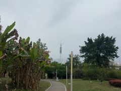-白鹭湾湿地公园