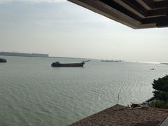 -大湾区中央湿地公园