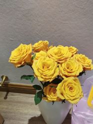 -雅曼妮spa美容养生