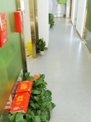 -苗医生0感科技祛痘