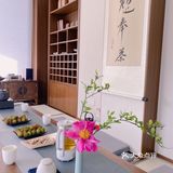 坠落在喜马拉雅上的明珠—六朝安仁坊