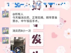 -瑞派名望24h动物医院异宠专科·猫专科·骨科·重症监护分院
