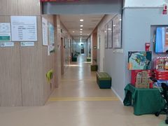 -亲亲袋鼠托育早教·思维专注力·棕熊英语(鼓楼恒力城店)