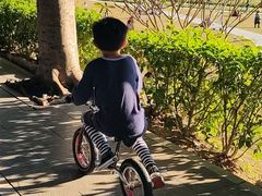 -风云岭森林公园