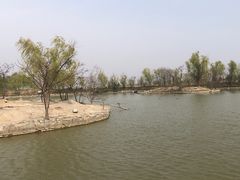 -盐城丹顶鹤湿地生态旅游区