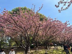 -苏州河梦清园环保主题公园